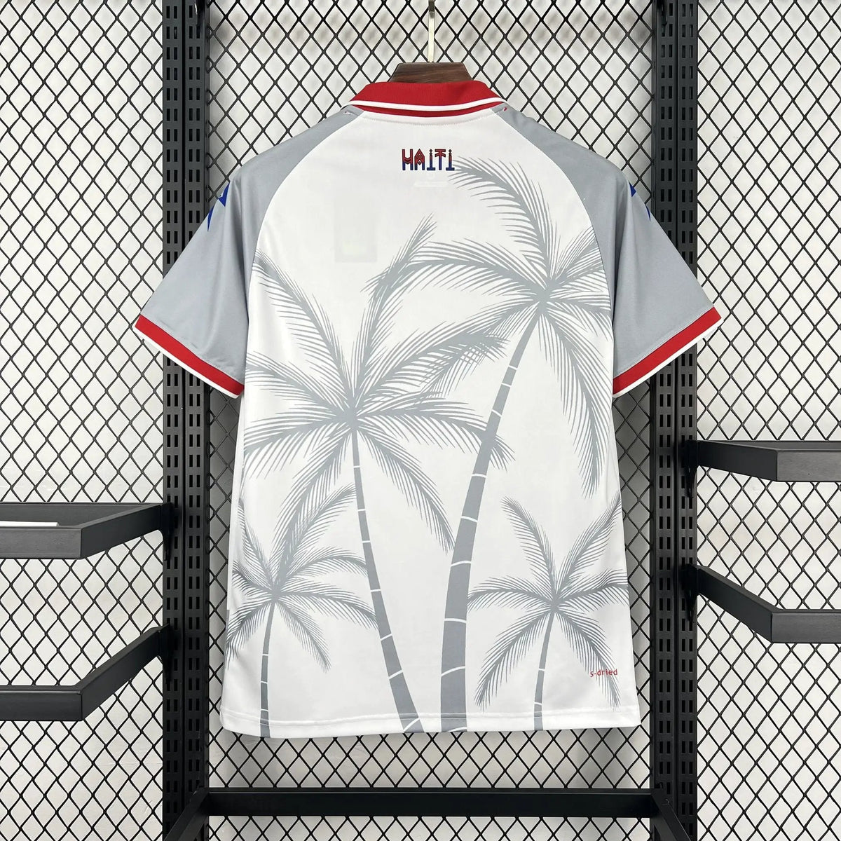 BOOTS SUPPLY Haiti 2026 Away Kit - Jersey